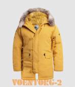 ����� Oxford Apolloget | ���� Golden